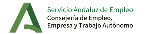 Aula Virtual SAE