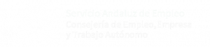 Aula Virtual SAE