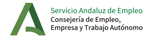 Aula Virtual SAE